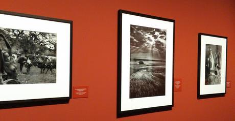 Blogssipgirl recomienda: exposición 