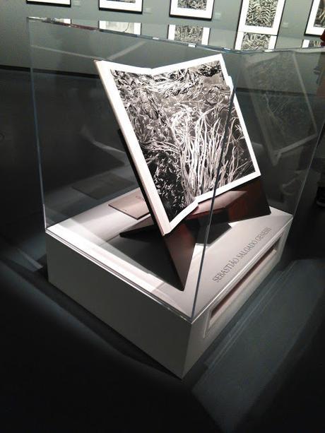 Blogssipgirl recomienda: exposición 