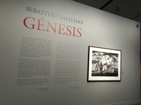 Blogssipgirl recomienda: exposición 