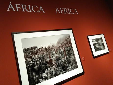 Blogssipgirl recomienda: exposición 