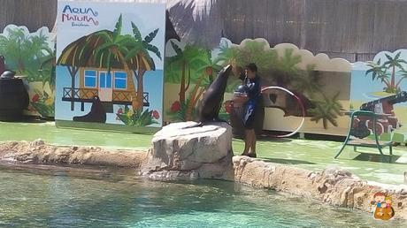 Aqua-Natura-Benidorm