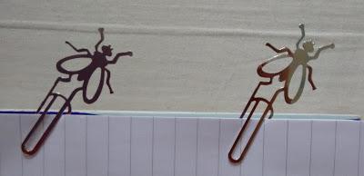 II SORTEO DE VERANO 2015 II SORTEO DE VERANO 2015