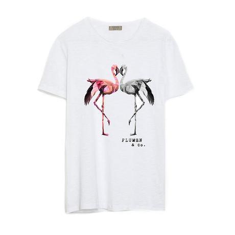 sSD + iOO + tUL  #nOUNIFORMES