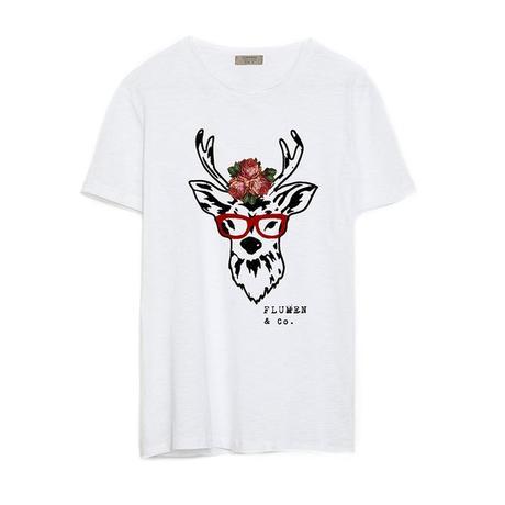 sSD + iOO + tUL  #nOUNIFORMES