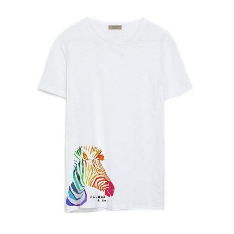 sSD + iOO + tUL  #nOUNIFORMES