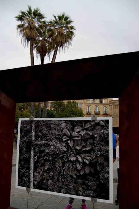 Salgado_durian_general