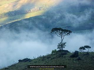 RORAIMA 2015