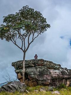 RORAIMA 2015