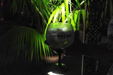 #MISBEHAVEPROPERLY #MISBEHAVEPROPERLY