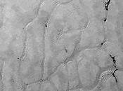 nuevos sorprendentes hallazgos Plutón