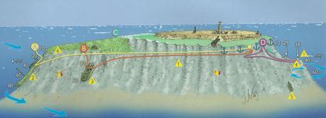 BIG_BROTHER_2littledivers