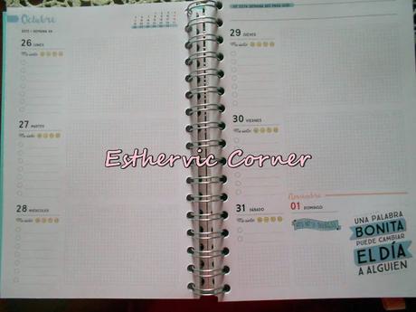 Review Agenda Mr Wonderful 2015-2016