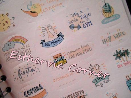 Review Agenda Mr Wonderful 2015-2016