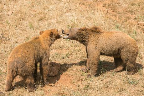 Parque de la Naturaleza de Cabárceno