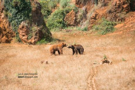 Parque de la Naturaleza de Cabárceno