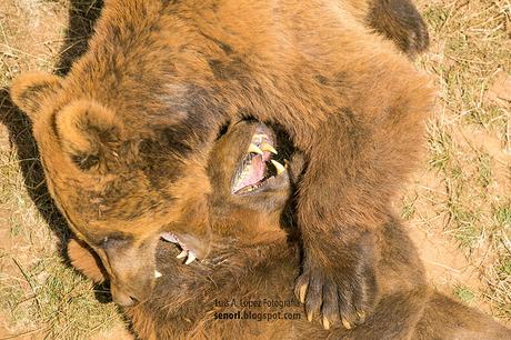 Parque de la Naturaleza de Cabárceno