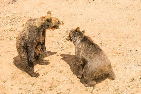 Parque de la Naturaleza de Cabárceno