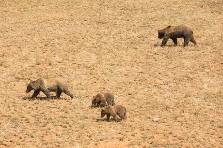 Parque de la Naturaleza de Cabárceno