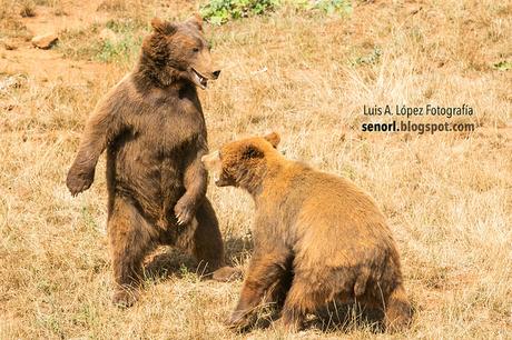 Parque de la Naturaleza de Cabárceno
