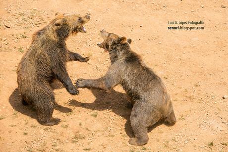 Parque de la Naturaleza de Cabárceno