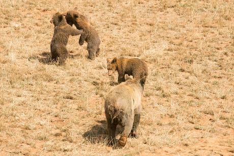 Parque de la Naturaleza de Cabárceno