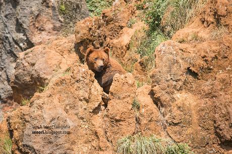 Parque de la Naturaleza de Cabárceno