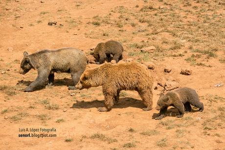 Parque de la Naturaleza de Cabárceno