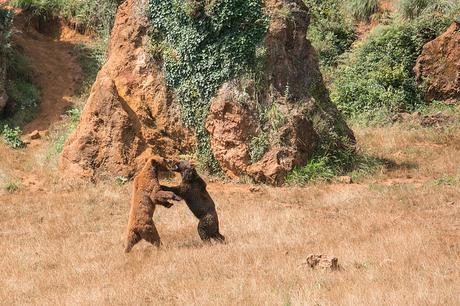 Parque de la Naturaleza de Cabárceno
