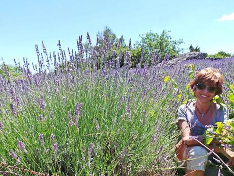 Hvar, la isla lavanda