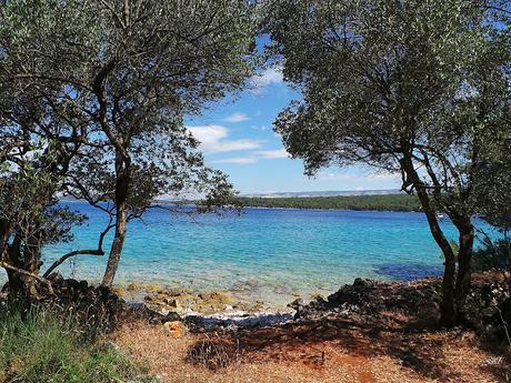 Hvar, la isla lavanda