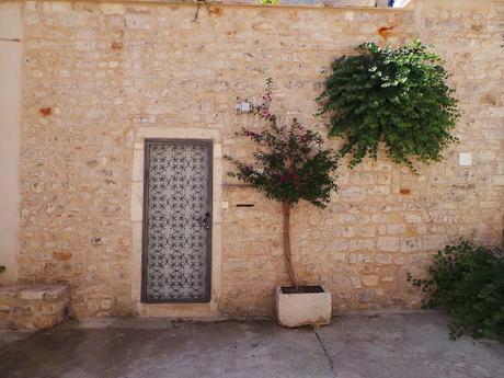 Hvar, la isla lavanda