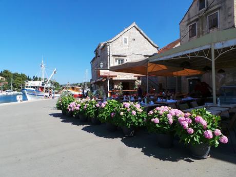 Hvar, la isla lavanda