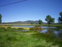 Tamajón, un caso paradigmático 150720 pTamajon 3