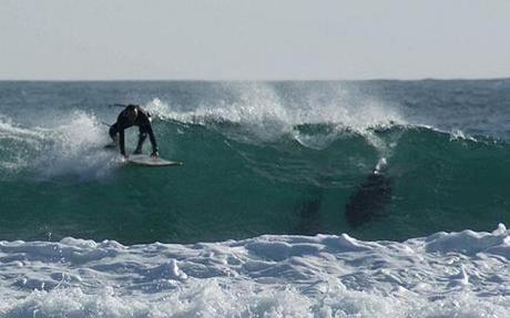 Televisión capta en vivo a Surfista luchando por su vida contra un tiburón