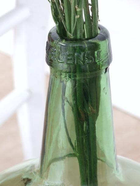 Regalos que hacen los contenedores y cómo limpiar una damajuana