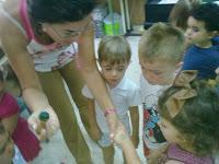 Período Adaptación