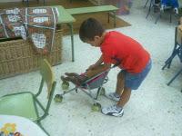 Período Adaptación