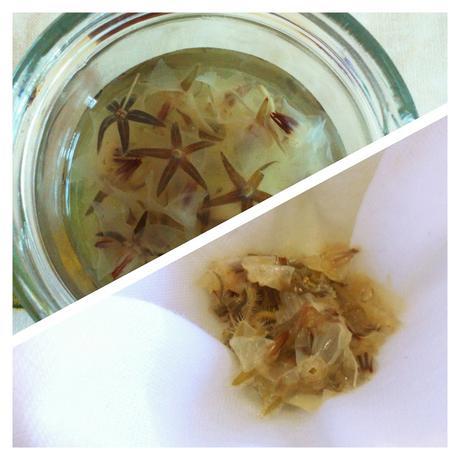 ¿Cómo hacer un vinagre medicinal? ¿Cómo hacer un vinagre medicinal?