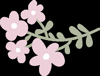 CLARINS reinterpreta su clásico CLARINS reinterpreta su clásico