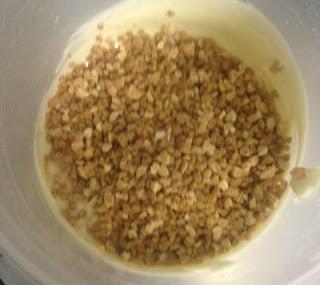 POLOS DE MASCARPONE , ARÁNDANOS Y FRAMBUESAS SEMIBAÑADOS DE CHOCOLATE BLANCO Y CROCANTI