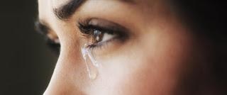 HOY MIS OJOS HAN LLORADO...