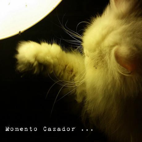 Estamos tan Agustito CIV. El Cazador... #funny estamos tan agustito