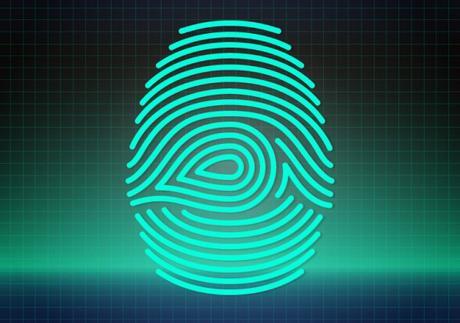 w housing seguridad huella