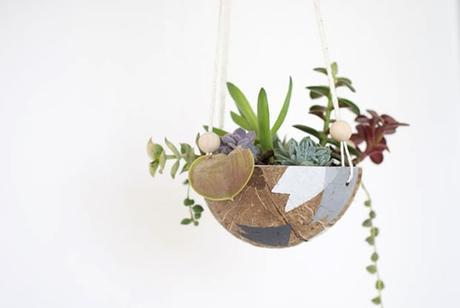 tips-deco-5-maneras-decorar-con-plantas