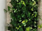 TIPS DECO: maneras diferentes decorar plantas