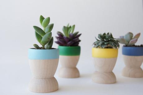 tips-deco-5-maneras-decorar-con-plantas