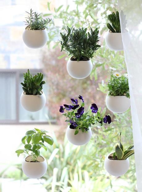 tips-deco-5-maneras-decorar-con-plantas