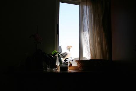 casa_alquiler_32_20150522 - Version 2