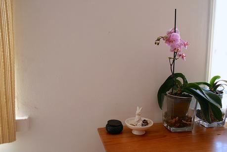 casa_alquiler_6_20150522 - Version 2