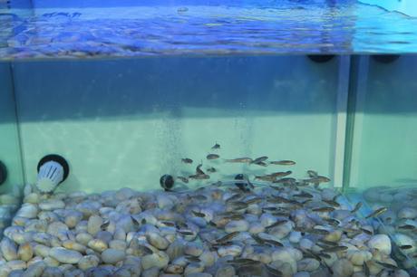 BEAUTY PARTY BLOGGERS EN LAS TERMAS DE RUHAM